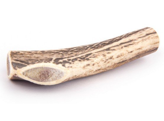 4DOGS Gryzak z poroża XS hard - obrazek 4