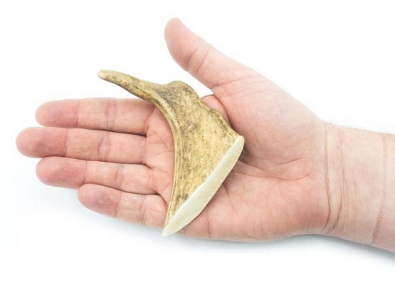 4DOGS Gryzak z poroża daniela S - obrazek 3