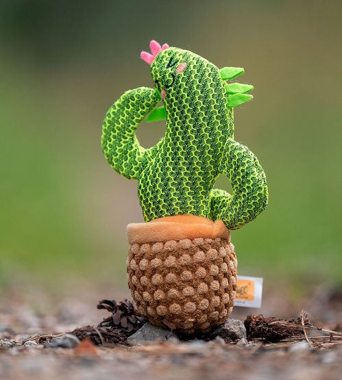 Dingo Zabawka dla psa - Kaktus Dolores 19cm - obrazek 2