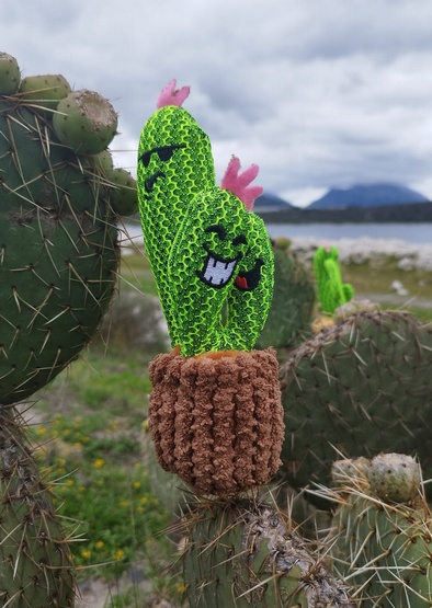 Dingo Zabawka dla psa - Kaktus Familia 20cm - obrazek 2