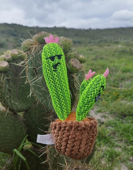 Dingo Zabawka dla psa - Kaktus Familia 20cm - obrazek 3