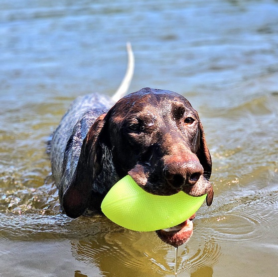 Dingo Zabawka dla psa - Piłka świecąca Play & Glow 14x8cm - obrazek 4