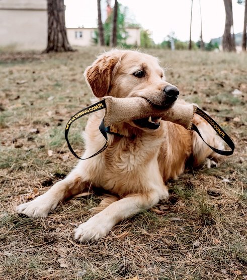 Dingo Zabawka dla psa - Szarpak z juty z dwoma uchwytami 40/6cm - obrazek 3