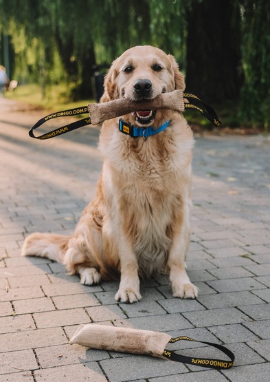 Dingo Zabawka dla psa - Szarpak z juty z uchwytem 60/8cm - obrazek 2