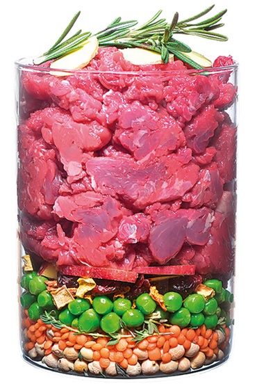 Carnilove Dog True Fresh Beef Adult - wołowina 1,4kg - obrazek 3