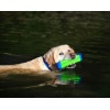 Chuckit! Amphibious Bumper Medium [18300] - obrazek 6