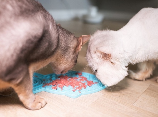 LickiMat Classic Felix Rybka fale miękka turkusowa - obrazek 4