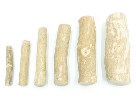 4DOGS Gryzak z drzewa kawowego L - obrazek 3