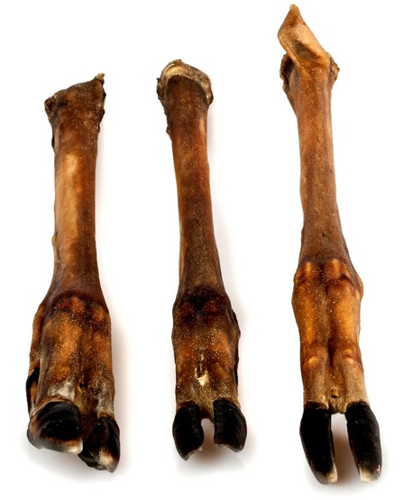 Balto Racica jelenia 2szt - obrazek 2