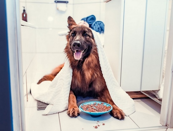 LickiMat Splash miska z przyssawką turkusowa - obrazek 5