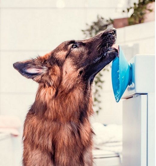 LickiMat Splash miska z przyssawką turkusowa - obrazek 7