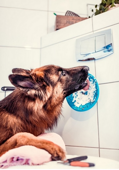 LickiMat Splash miska z przyssawką turkusowa - obrazek 8
