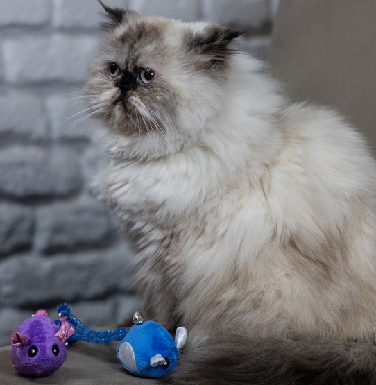 Dingo Zabawka dla kota - Myszki Tota i Upek 2szt - obrazek 2