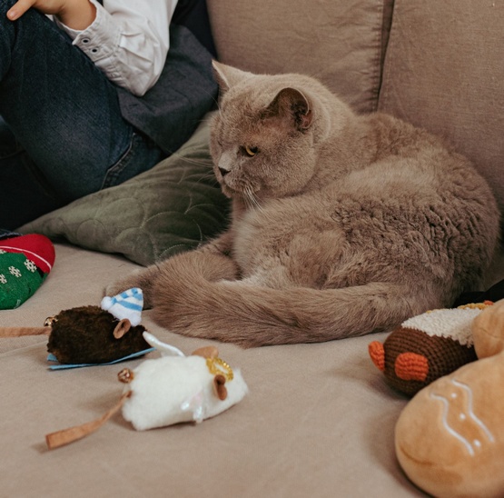 Dingo Zabawka dla kota - Mysz Narciarz - obrazek 2