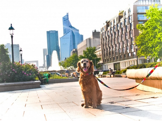 Matteo Smycz Prosta 30mm piksele - obrazek 3