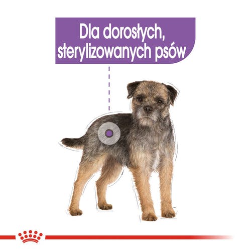 Royal Canin Sterilised karma mokra dla psów dorosłych, wszystkich ras po sterylizacji, pasztet saszetka 85g - obrazek 2