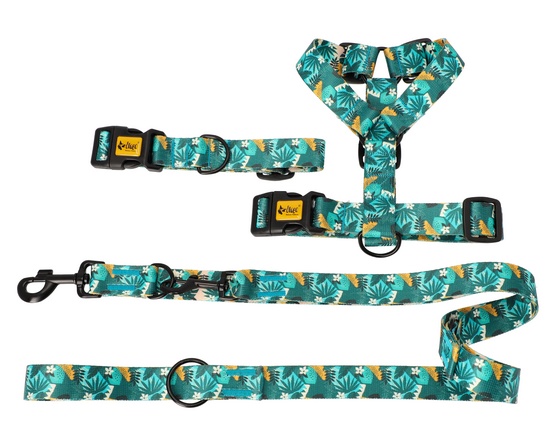 Dingo Obroża regulowana City - Monstera 3,0cm/60cm - obrazek 4