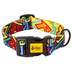 Dingo Obroża regulowana City - Graffiti 2,0cm/45cm