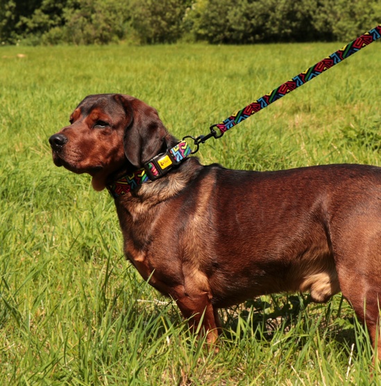 Dingo Smycz przepinana City - Graffiti 2x220cm - obrazek 3