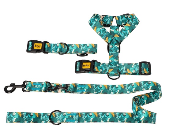 Dingo Szelki dwupaskowe Guard City - Monstera rozmiar L - obrazek 5