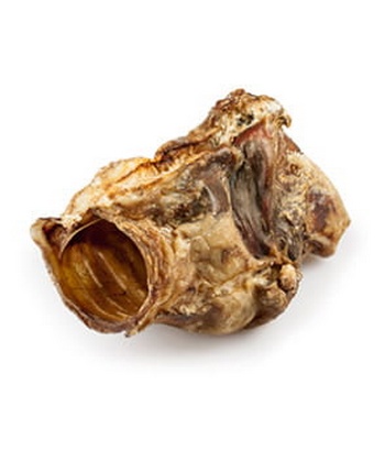 Balto Krtań wołowa 1szt - obrazek 2