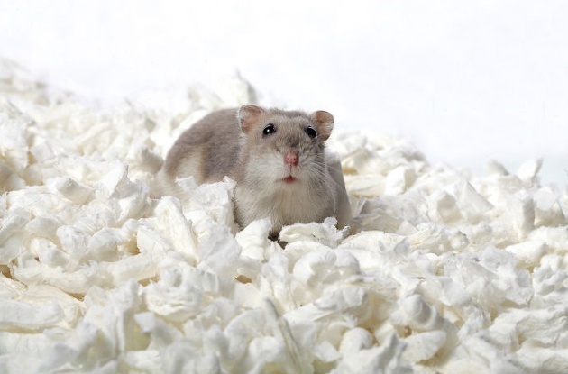 Spark Wiórki celulozowe 8,5L - obrazek 2