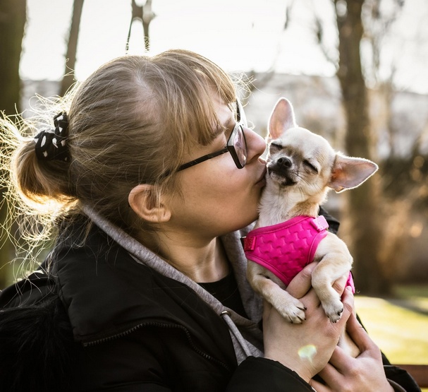 Dingo Szelki bezuciskowe z dwupaskową regulacją L różowe - obrazek 3