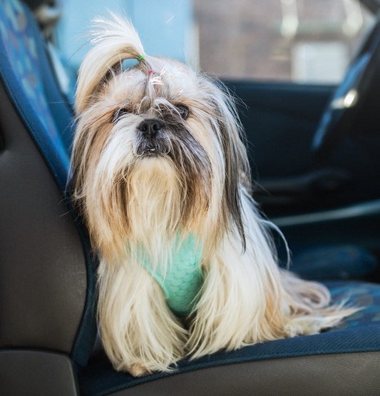 Dingo Szelki bezuciskowe z dwupaskową regulacją L miętowe - obrazek 3