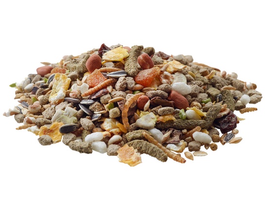 Versele-Laga Hamster Nature pokarm dla chomika 700g - obrazek 2