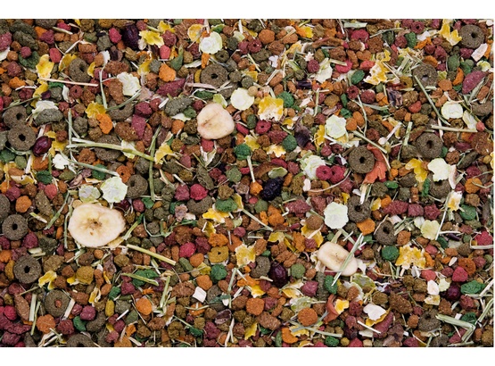 Versele-Laga Chinchilla Nature Original pokarm dla szynszyli 750g - obrazek 2