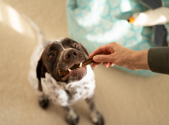 Josera Denties Duck & Carrot 180g - obrazek 4