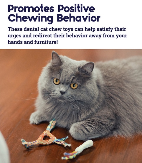 Petstages Gryzaki do higieny zębów kota PS326 - obrazek 4