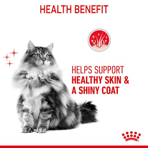 Royal Canin Hair & Skin Care w sosie karma mokra dla kotów dorosłych, zdrowa skóra, piękna sierść saszetka 85g - obrazek 3