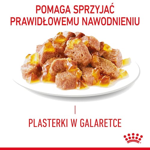 Royal Canin Hair & Skin Care karma mokra w galaretce dla kotów dorosłych, lśniąca sierść i zdrowa skóra saszetka 85g - obrazek 2