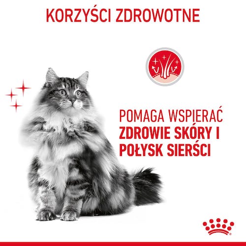 Royal Canin Hair & Skin Care karma mokra w galaretce dla kotów dorosłych, lśniąca sierść i zdrowa skóra saszetka 85g - obrazek 3