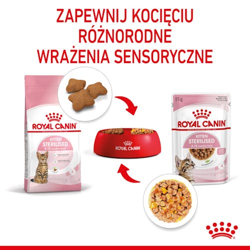 Royal Canin Kitten Sterilised karma mokra w galaretce dla kociąt od 6 do 12 miesiąca życia, sterylizowanych saszetka 85g - obrazek 4