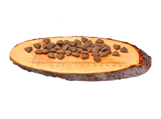 Carnilove Dog Salmon Adult - łosoś 1,5kg - obrazek 2