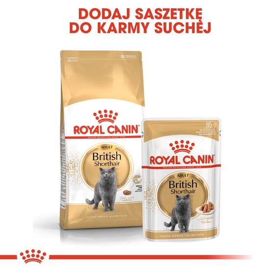 Royal Canin British Shorthair karma mokra w sosie dla kotów dorosłych rasy brytyjski krótkowłosy saszetka 85g - obrazek 5