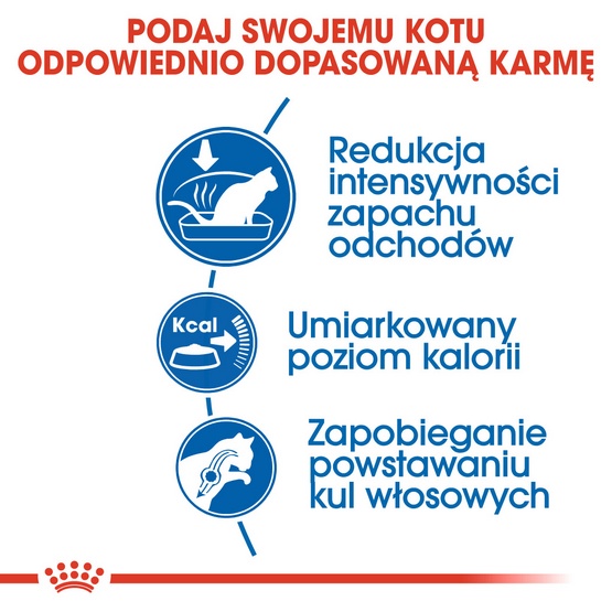 Royal Canin Indoor karma sucha dla kotów dorosłych, przebywających wyłącznie w domu 2kg - obrazek 5
