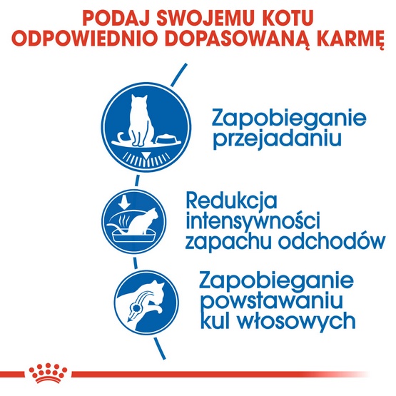 Royal Canin Indoor Apetite Control karma sucha dla kotów dorosłych przebywających w domu, domagających się jedzenia 400g - obrazek 4