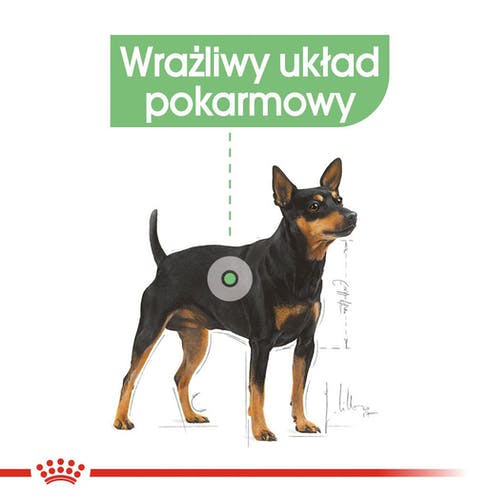 Royal Canin Digestive Care karma mokra dla psów dorosłych, wszystkich ras o wrażliwym przewodzie pokarmowym saszetka 85g - obrazek 2