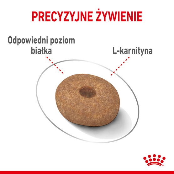 Royal Canin Mini Light Weight Care karma sucha dla psów dorosłych, ras małych z tendencją do nadwagi 3kg - obrazek 5