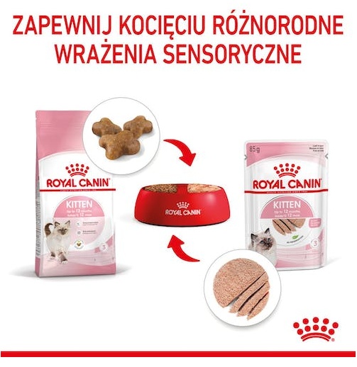 Royal Canin Kitten pasztet (loaf) karma mokra dla kociąt do 12 miesiąca życia saszetka 85g - obrazek 4