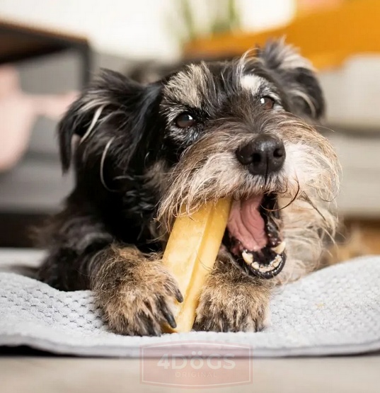 4DOGS Gryzak z sera himalajskiego Churpi Original S - obrazek 10