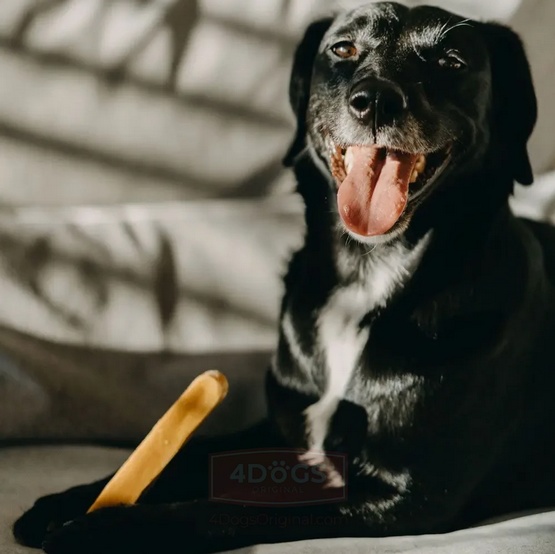 4DOGS Gryzak z sera himalajskiego Churpi Original S - obrazek 11