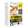 Wita-Vet Kot Energia Junior + Adult 60tabl - obrazek 2