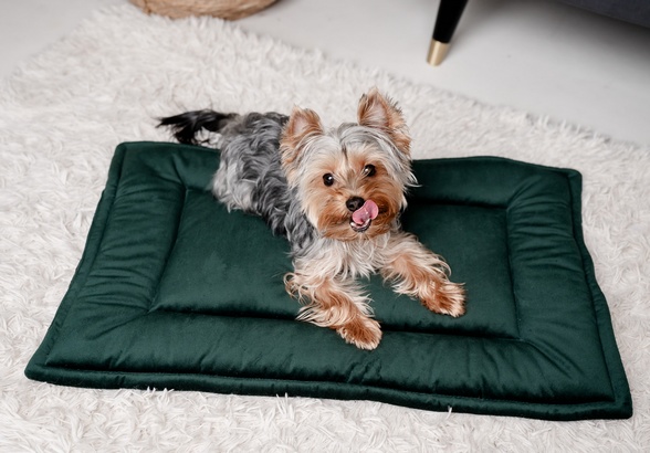 MIMIKO Pets Mata Velvet 70x50cm butelkowa zieleń - obrazek 3