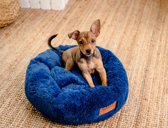 MIMIKO Pets Legowisko Shaggy okrągłe M 45cm chabrowe - obrazek 3