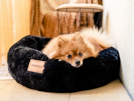 MIMIKO Pets Legowisko Shaggy okrągłe L 60cm czarne - obrazek 3