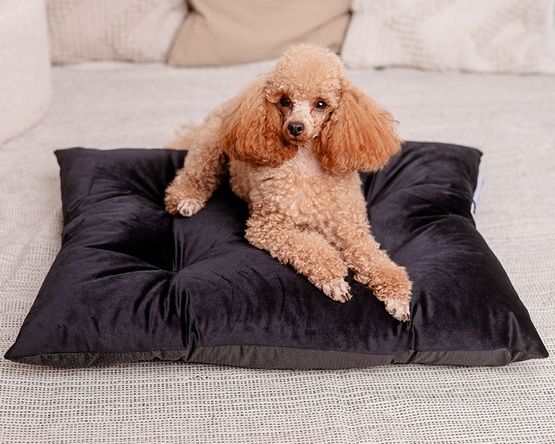 MIMIKO Pets Legowisko Poducha Velvet 70x50cm czarna - obrazek 2